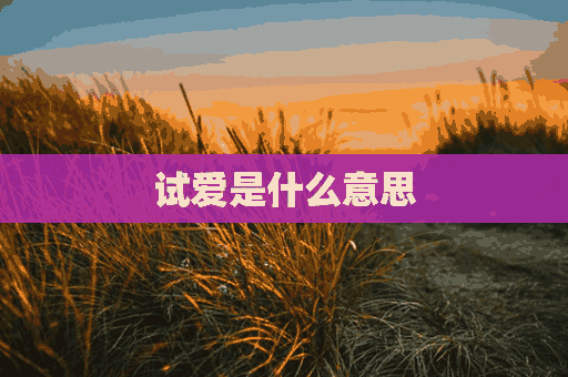 试爱是什么意思